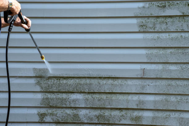Best Yard Waste Removal  in Sherrill, NY